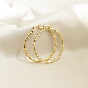 18K Gold Plated Texture Hoop Earrings